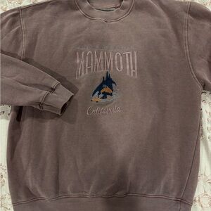 PacSun Mammoth Graphic Crewneck Sweater - Brown